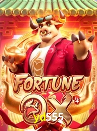 YD555.COM
